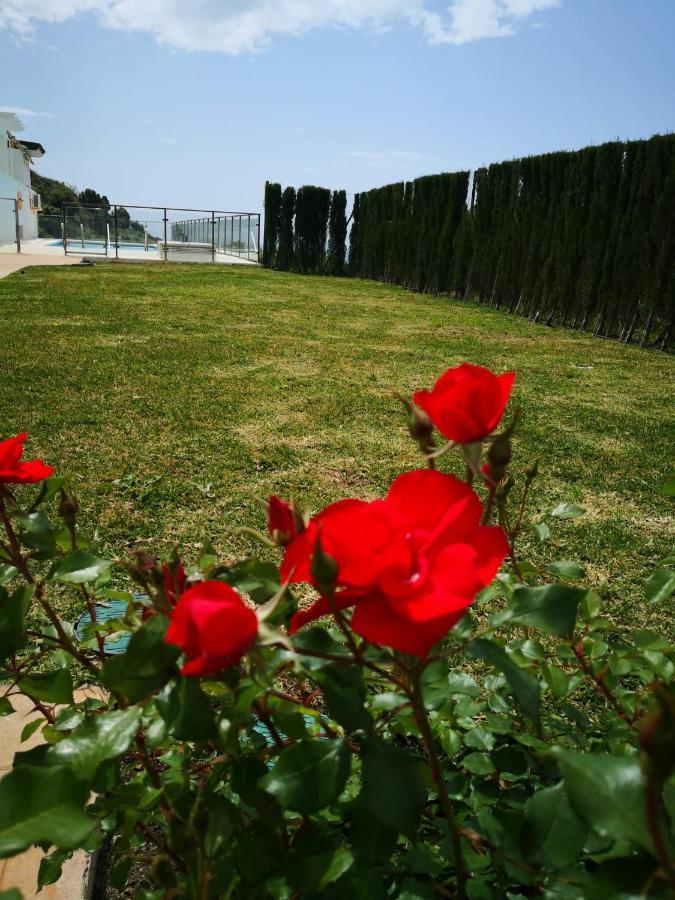 Apartamento Dana II Eurogolf, Vistas, Wifi, Piscina Y Parking Benalmádena Exterior foto